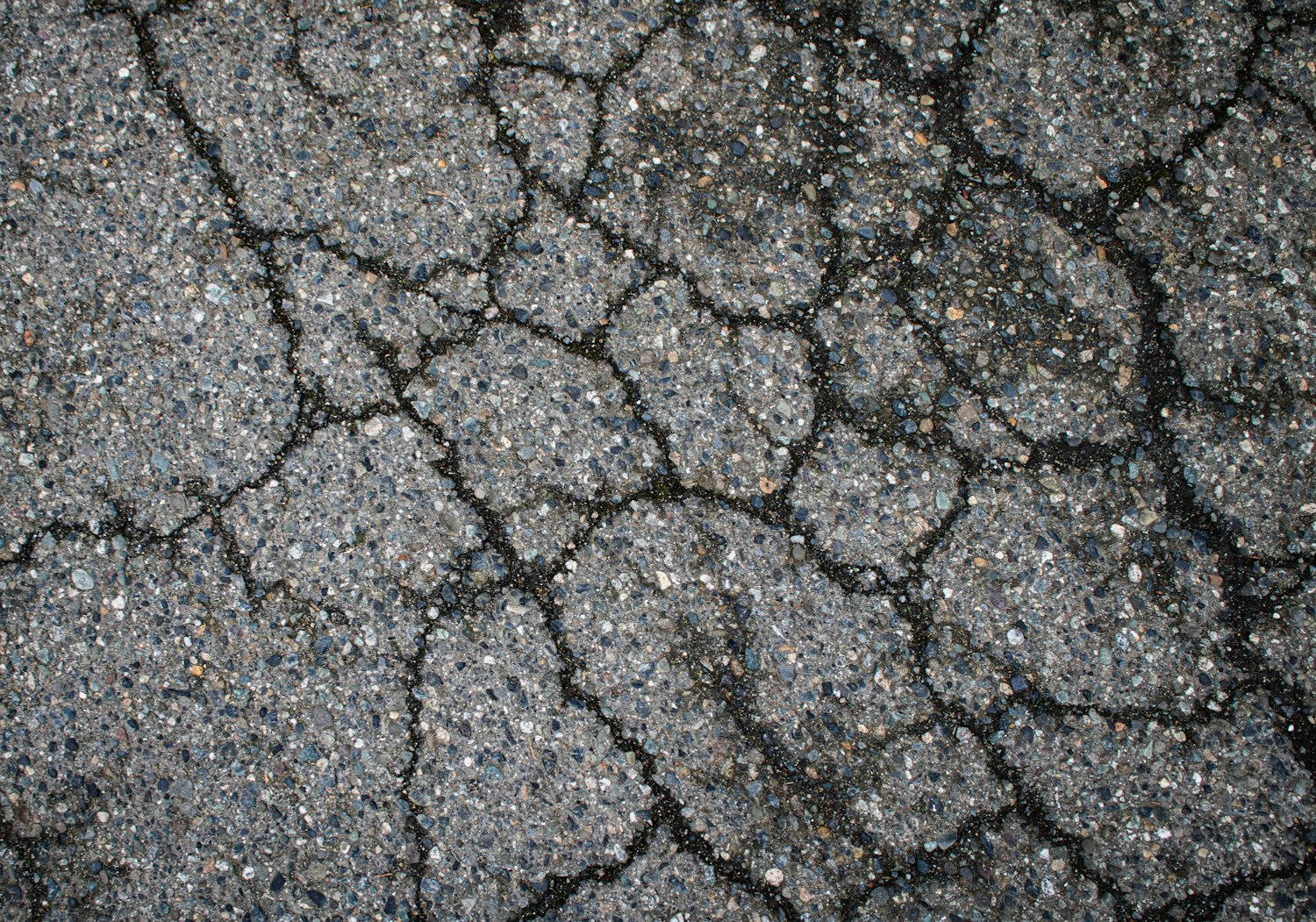 Close-up of cracked asphalt pavement in bright daylight