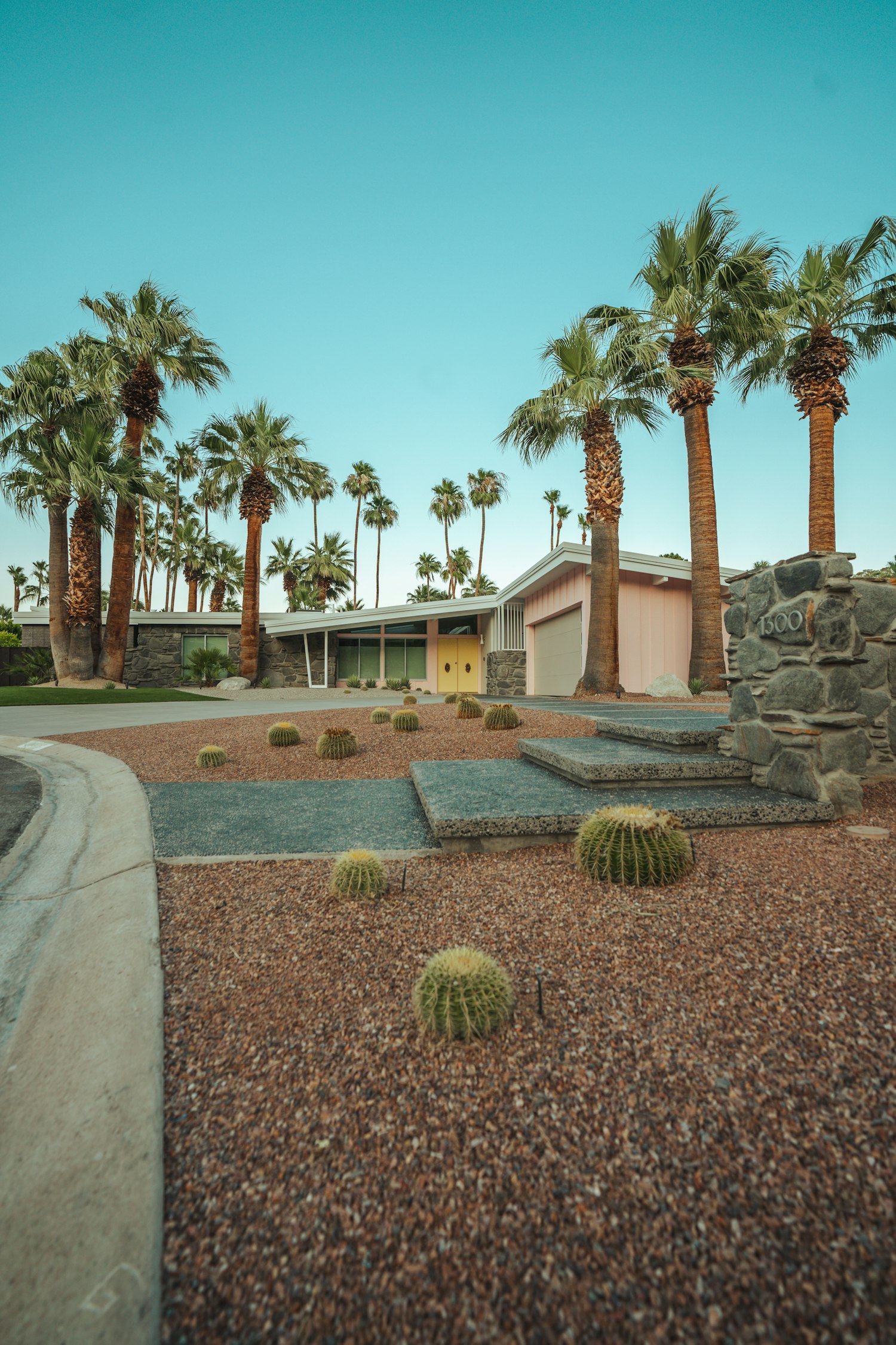 Bright desert-modern home with palm landscaping in full sun